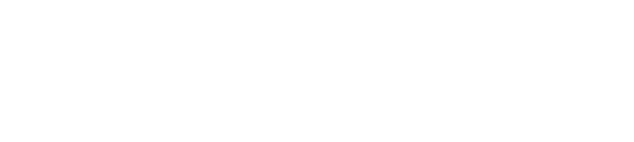 Lion Agency | Design, Strategy and Digital Marketing
